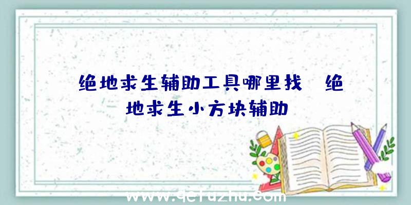 「绝地求生辅助工具哪里找」|绝地求生小方块辅助